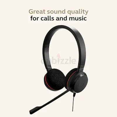 Jabra Evolve 20