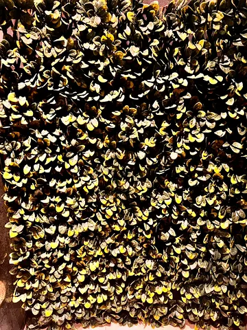 Artificial Decorative Green Wall Panel - Small Leaf Design