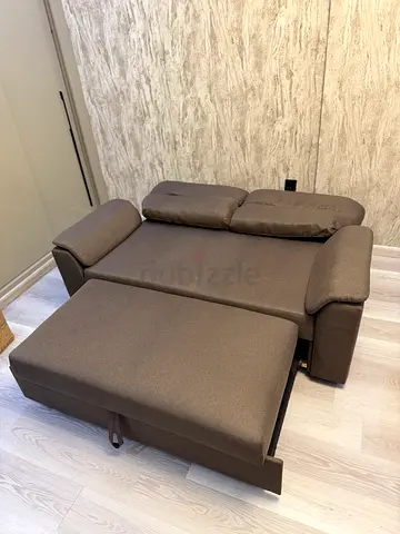 2 seater sofa cum bed in new condition