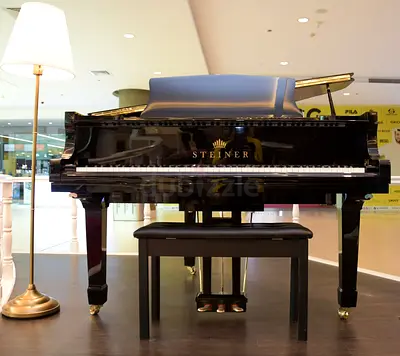 Steiner GP-158 Grand Piano Brand New With Self Playing System