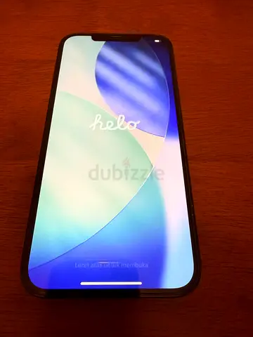 Apple iPhone 12 Pro Max
