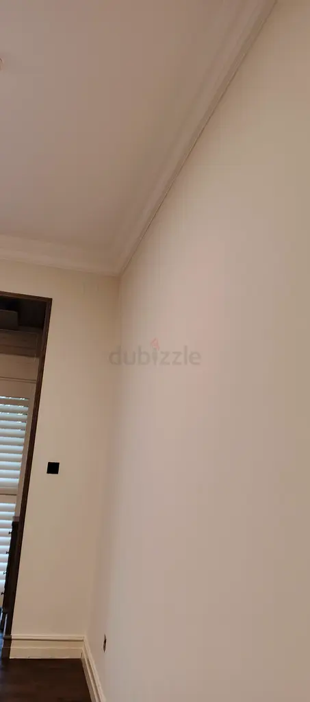 DPV_View_Image_0