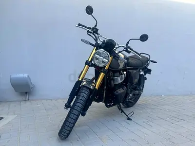 2025 Royal Enfield Bear 650
