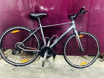 Road or hybrid bike trek