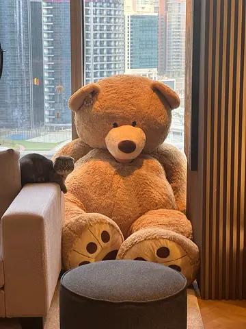 240 cm Giant Brown Teddy Bear Plush from USA Hugfun Costco