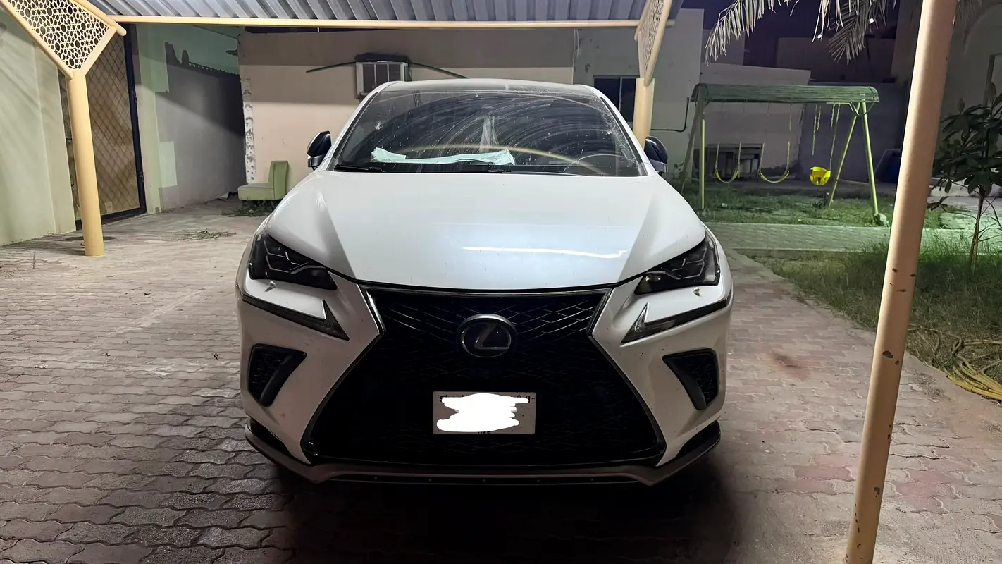 Lexus NX-Series 2018 — photo 1 of 9