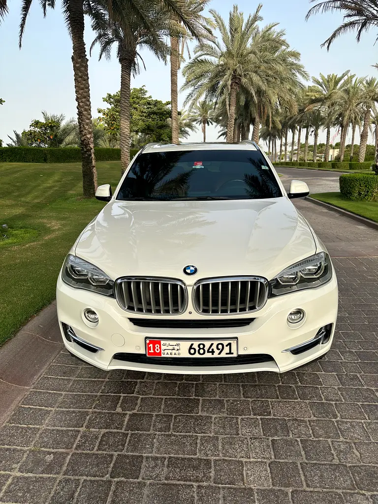 BMW X5 2015 — photo 1 of 20