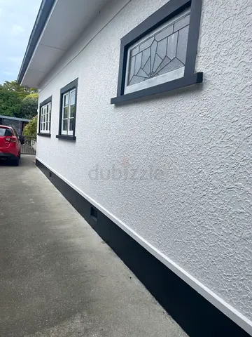 Paint