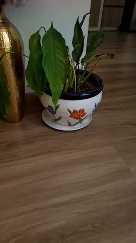 Garden pots and decre