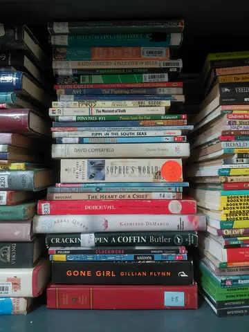 Mixed second-hand fiction and non-fiction book lot — assorted titles