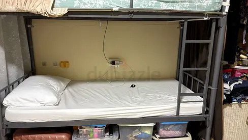 Executive Lady Bed Space