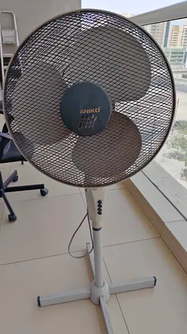 Fan