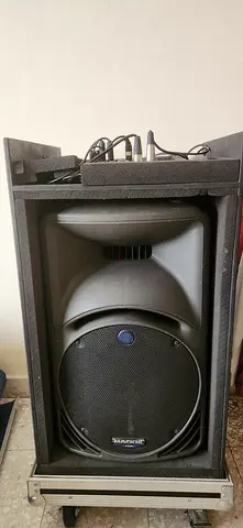 Kareoke system speaker