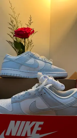 Nike Dunk Low Next Nature (Women’s Shoe)