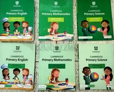 Year 4 Cambridge books