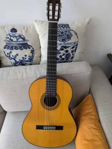 Classical Nylon-String Guitar - New Condition CG122MS