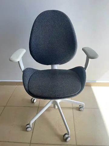 Ergonomic Office Chair with Armrests and Wheels