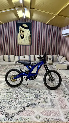 Fully modded Sur-Ron Light Bee X (price is negotiable)