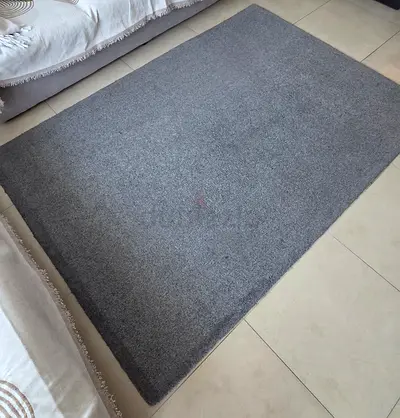 Carpet Living Room