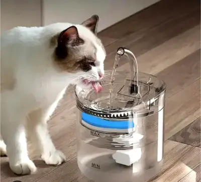 Automatic Transparent Pet Water Fountain