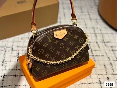 Lv women bag