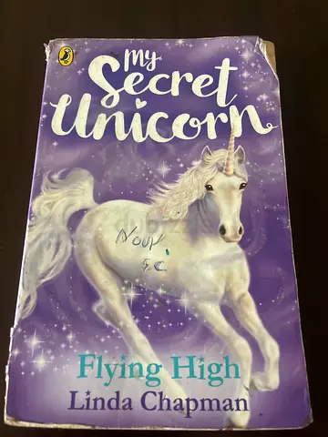 My Secret Unicorn / Flying High - Linda Chapman