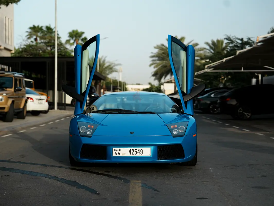 gallery-image