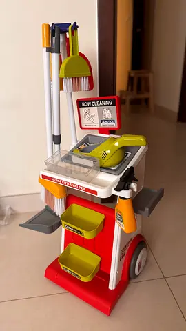 Cleaning toy