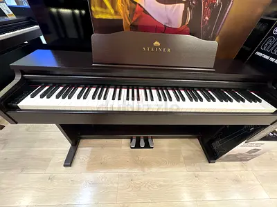 Brand new Steiner DP-250