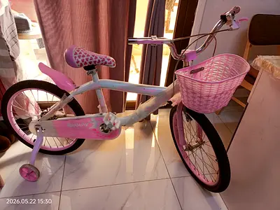 Kids Pink Beauty Bicycle with Training Wheels and Basket