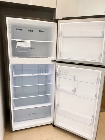 Samsung Freeze