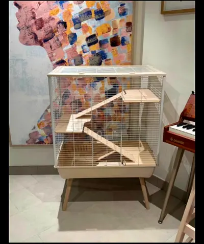 Cage available