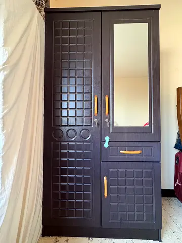 Dark Wood Wardrobe with Mirror and Multiple Compartments