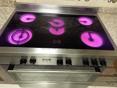 Free Delivery- Westpoint 5-Burner Electric Ceramic Cooking Range 90x60 CM