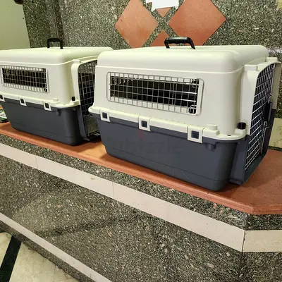 Cats and dogs carriers for air travel L 68