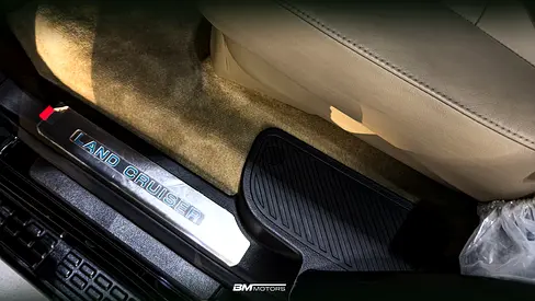 2010 Toyota LAND CRUISER 照片 13