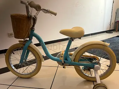 Kids 16-inch Bike