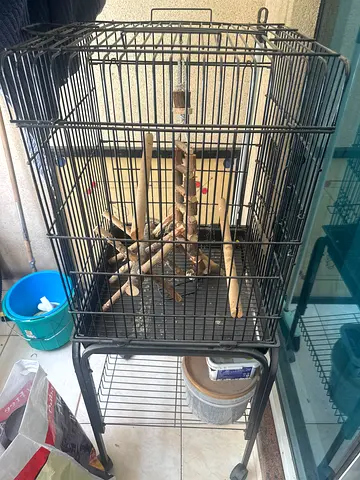 Large metal bird cage with stand and perches - good condition