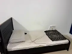Super executive bed space available for rent with balcony and with dedicated washroom