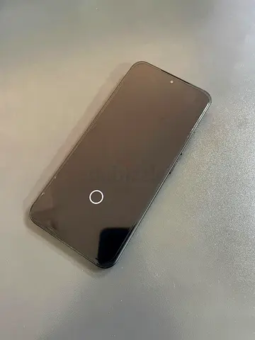 Xiaomi 15
