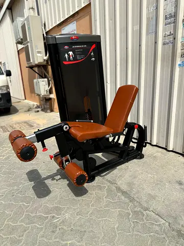 Leg Extension / Leg Curl Machine - Commercial Gym Equipment
