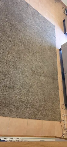 Large neutral brown rug — good condition 200×300