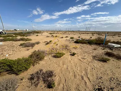 Available Plot | Mixed Use Land | Jebel Ali Hills | Main Road Access