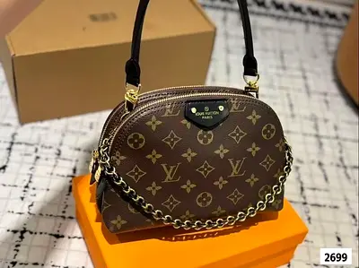 Lv women bag