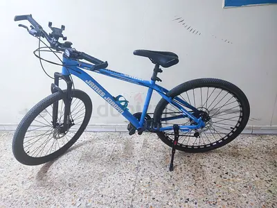 Mountain bike - front wheel and fork (good condition)