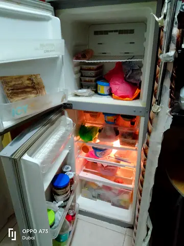 Double Door Top Mount Refrigerator Freezer