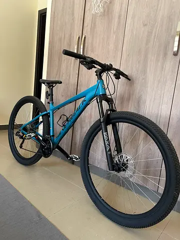 Silverback stride v2 mtb ht (negotiable)!! Barely used