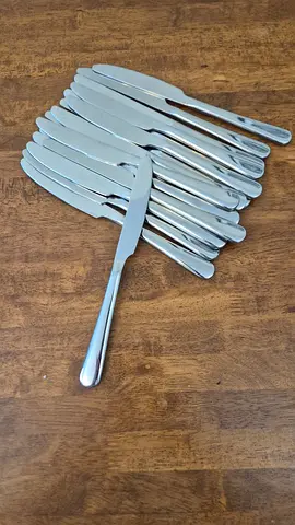 Set of 17 Stainless Steel Table Knives