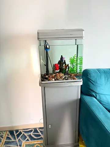 aquarium