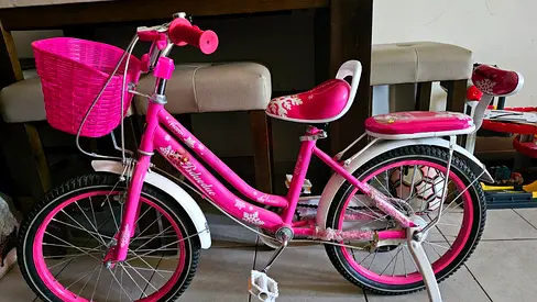 Pink Girls Bicycle with Front Basket and Rear Seat(Final price)